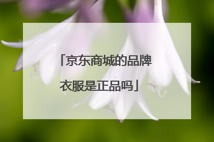 京东商城的品牌衣服是正品吗