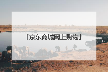 京东商城网上购物