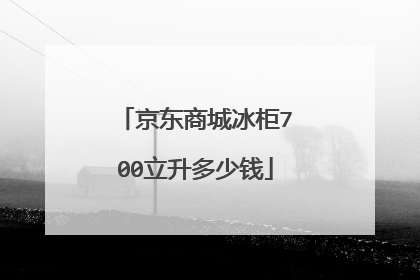 京东商城冰柜700立升多少钱