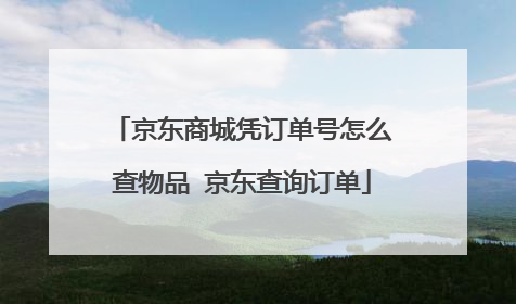 京东商城凭订单号怎么查物品 京东查询订单