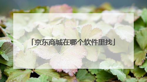 京东商城在哪个软件里找