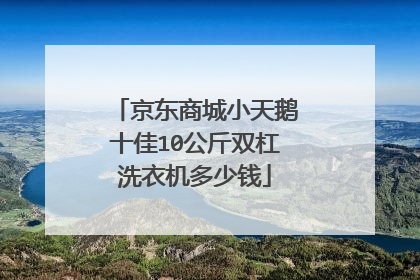 京东商城小天鹅十佳10公斤双杠洗衣机多少钱