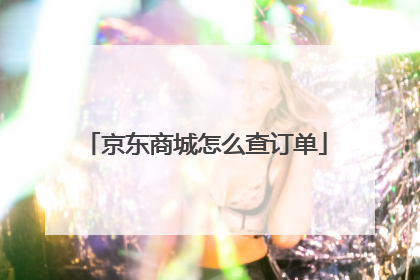 京东商城怎么查订单