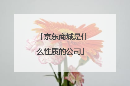 京东商城是什么性质的公司