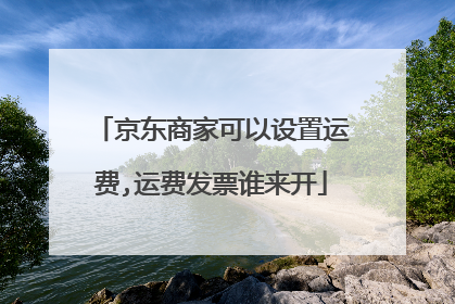 京东商家可以设置运费,运费发票谁来开