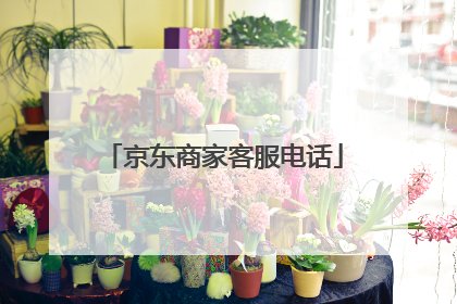 京东商家客服电话