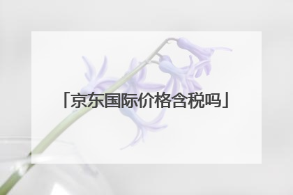 京东国际价格含税吗