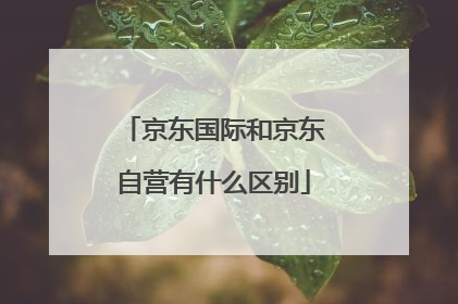 京东国际和京东自营有什么区别