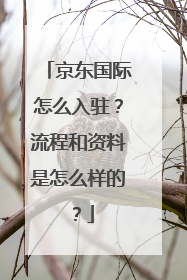 京东国际怎么入驻?流程和资料是怎么样的?