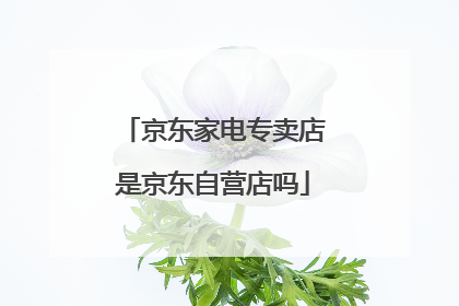 京东家电专卖店是京东自营店吗