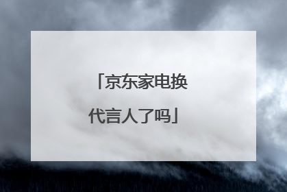 京东家电换代言人了吗