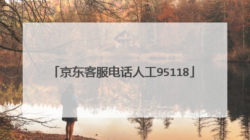 京东客服电话人工95118