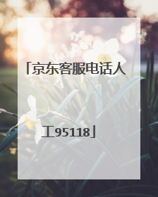 京东客服电话人工95118
