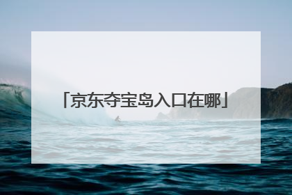 京东夺宝岛入口在哪