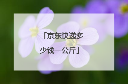 京东快递多少钱一公斤