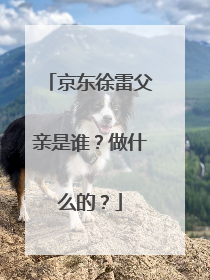 京东徐雷父亲是谁?做什么的?