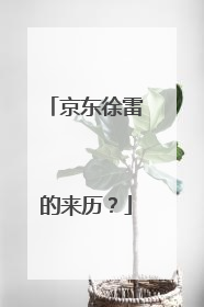京东徐雷的来历?