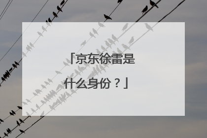 京东徐雷是什么身份?