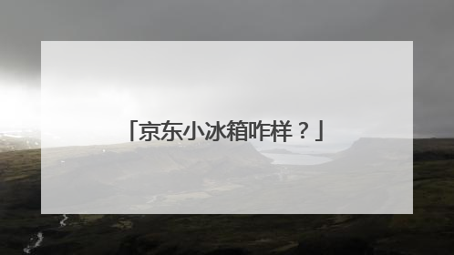 京东小冰箱咋样？