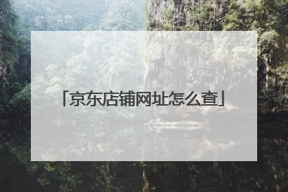 京东店铺网址怎么查