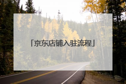 京东店铺入驻流程