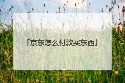京东怎么付款买东西