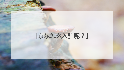 京东怎么入驻呢？