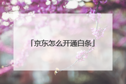 京东怎么开通白条
