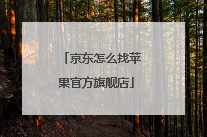 京东怎么找苹果官方旗舰店