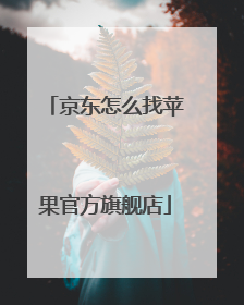 京东怎么找苹果官方旗舰店