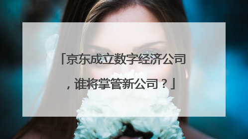 京东成立数字经济公司,谁将掌管新公司?