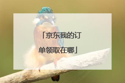 京东我的订单领取在哪