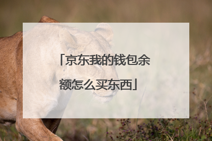 京东我的钱包余额怎么买东西