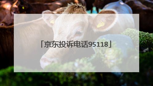 京东投诉电话95118