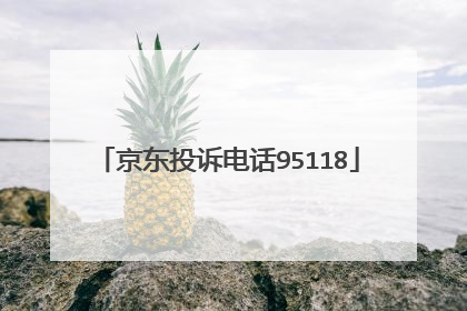 京东投诉电话95118