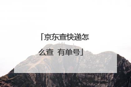 京东查快递怎么查 有单号