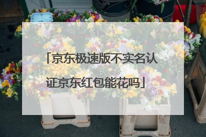 京东极速版不实名认证京东红包能花吗