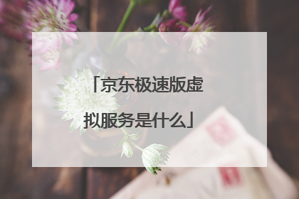 京东极速版虚拟服务是什么