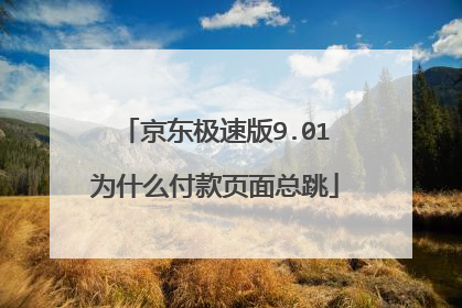 京东极速版9.01为什么付款页面总跳