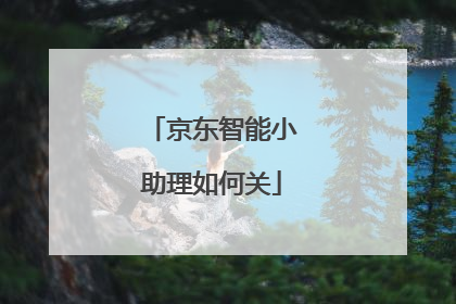 京东智能小助理如何关