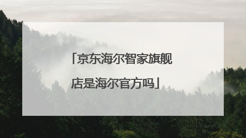 京东海尔智家旗舰店是海尔官方吗