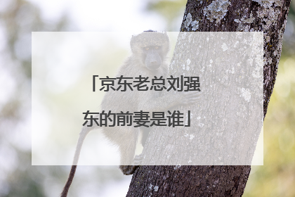 京东老总刘强东的前妻是谁
