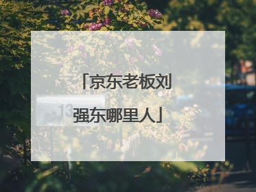 京东老板刘强东哪里人