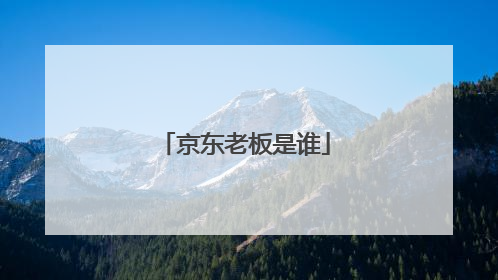 京东老板是谁