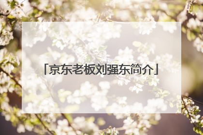 京东老板刘强东简介