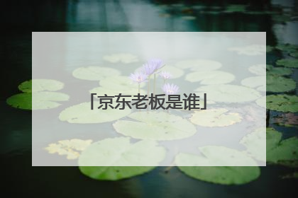 京东老板是谁