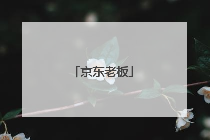 京东老板