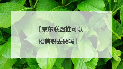 京东联盟推可以招兼职去做吗
