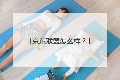 京东联盟怎么样?