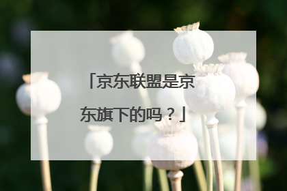 京东联盟是京东旗下的吗?